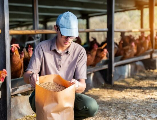 Aliments adaptés à chaque élevage